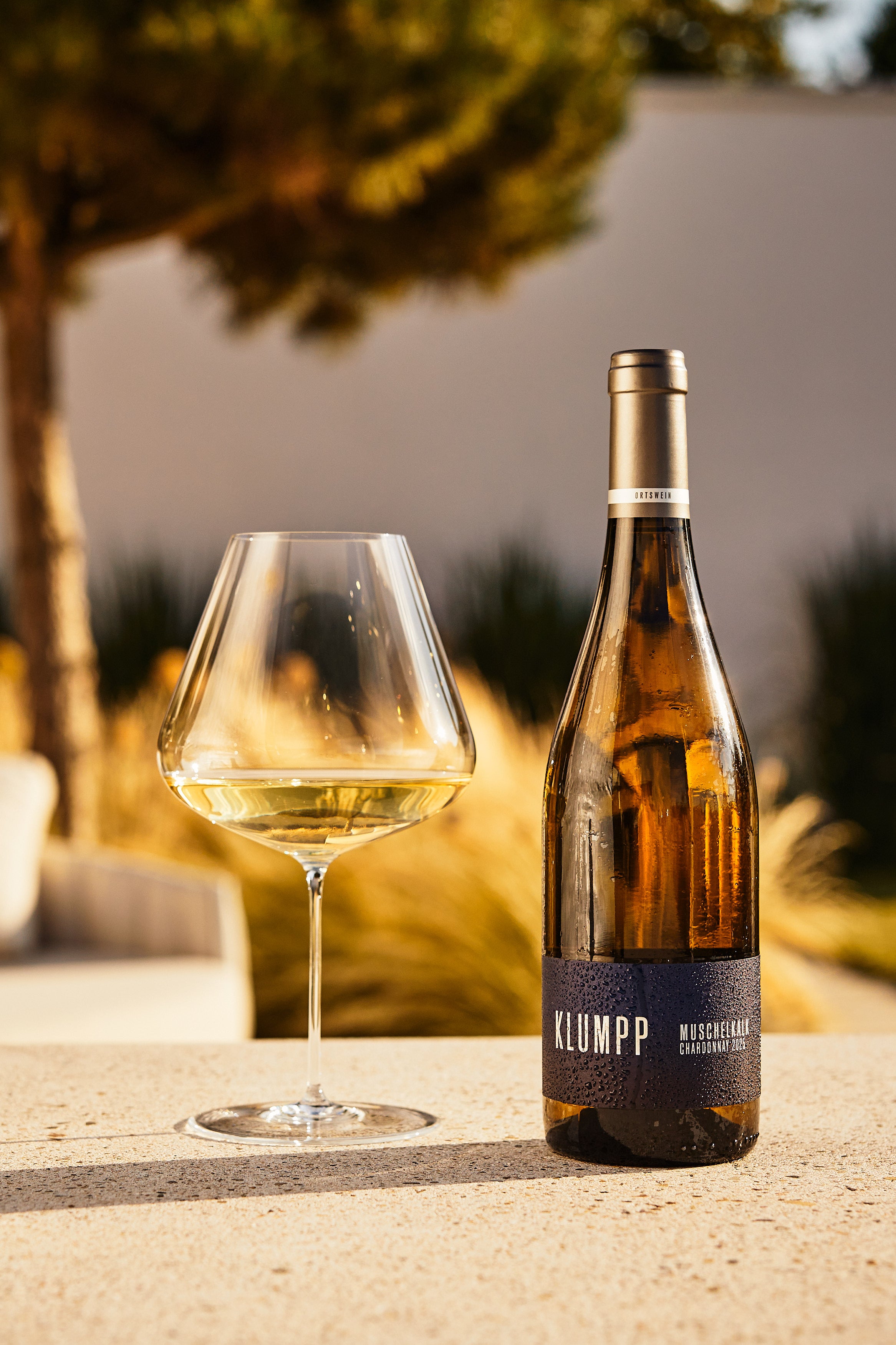 2025 Muschelkalk Chardonnay