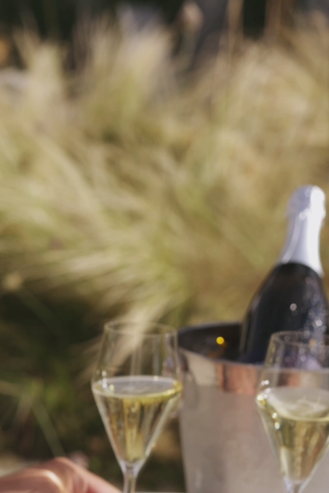 2023 Riesling Sekt